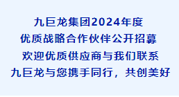 一飞冲天300倍游戏集团2024年度优质战略合作伙伴公开招募！